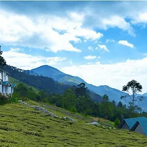 Green Jungle Holiday Munnar